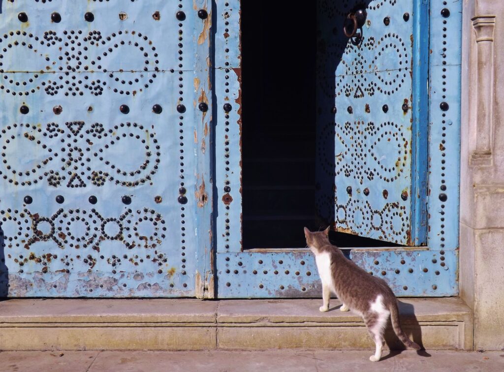 What is the most important attribute for a leader as coach. The clue is the cat peering into a doorway...